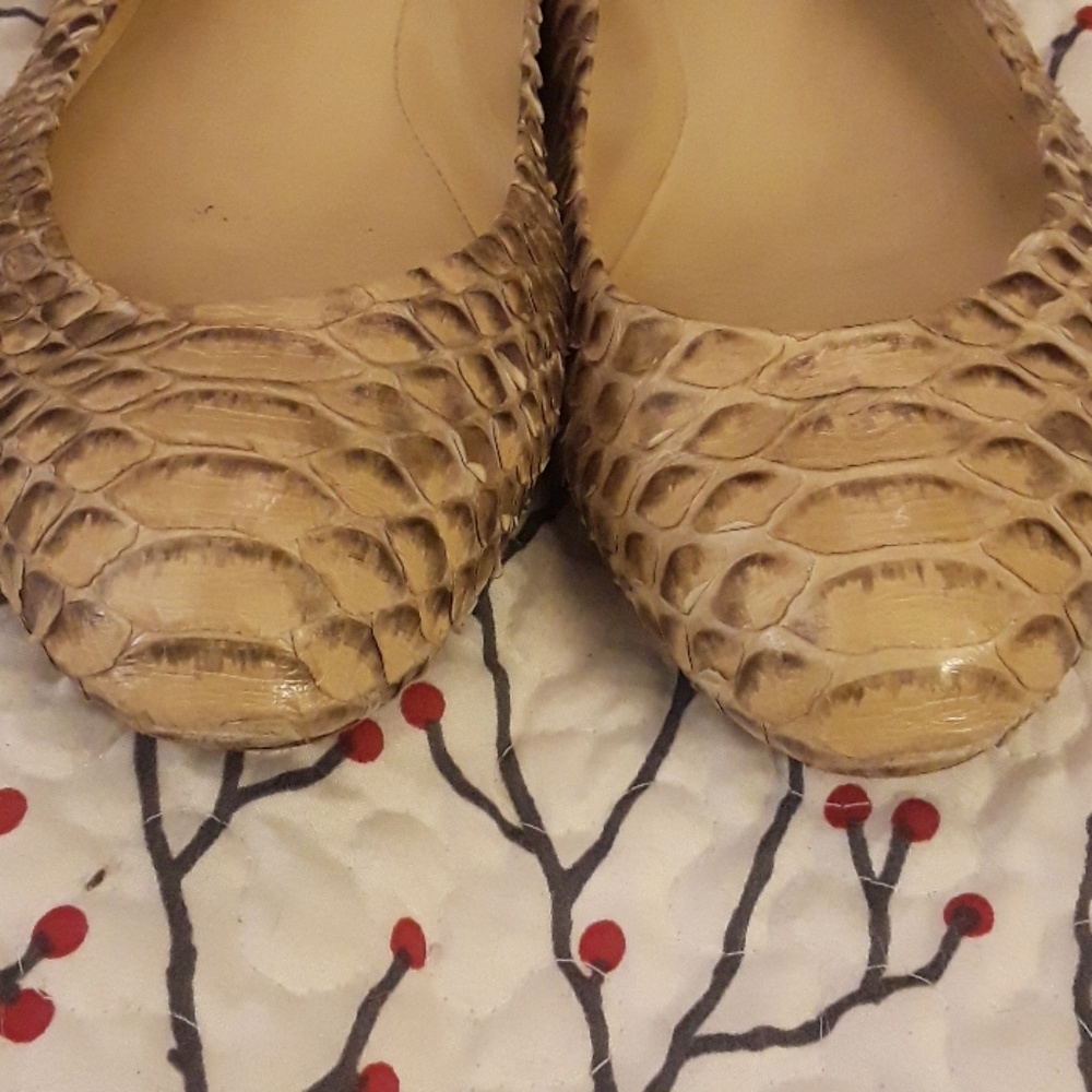 Python Ballet Shoes - image 4